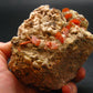 Wulfenite Cluster From Morocco - 4.0"