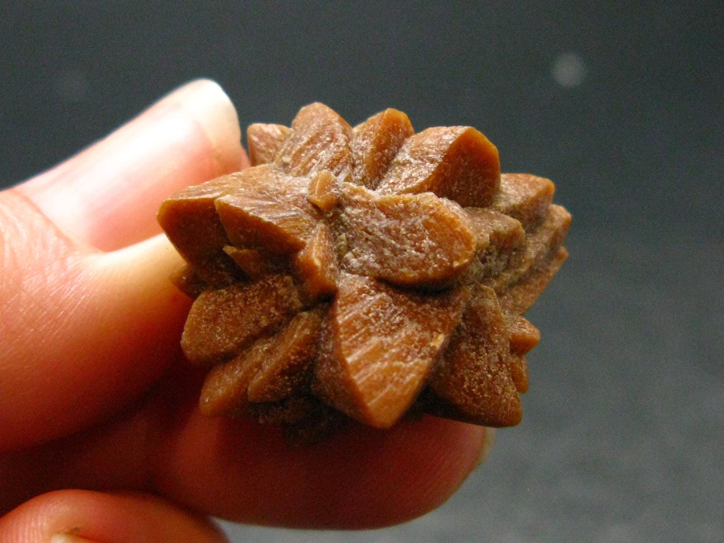 Glendonite (Ikaite after Calcite) Crystal From Russia - 1.0" - 7.81 Grams
