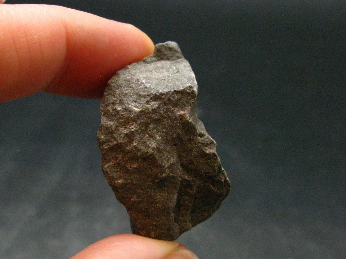 Rare Shammanite Shamanite Master Shamanite Raw Piece From USA - 1.4" - 15.52 Grams