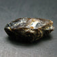 Rare Xenotime Crystal from Brazil - 0.9" - 4.53 Grams