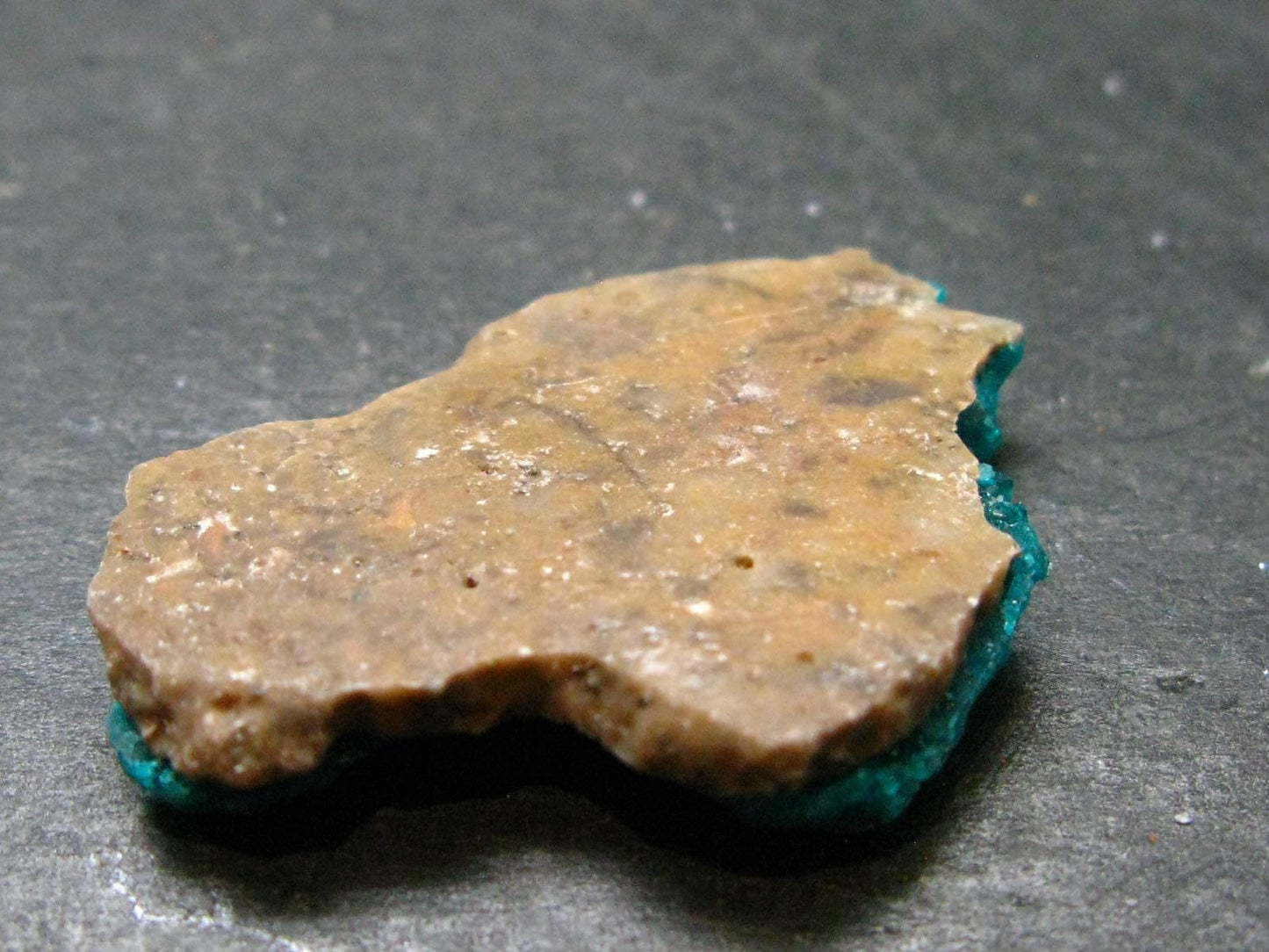 Beautiful Dioptase Cluster from Kazakhstan - 1.1" - 5.24 Grams