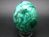 Amazing Large Rich Vivid Vibrant Green Malachite Egg From Congo - 2.8"