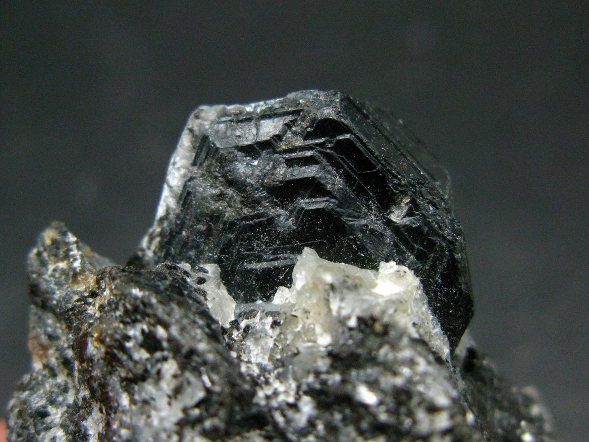 Rare Sapphirine on matrix Cluster From Madagascar - 2.2"