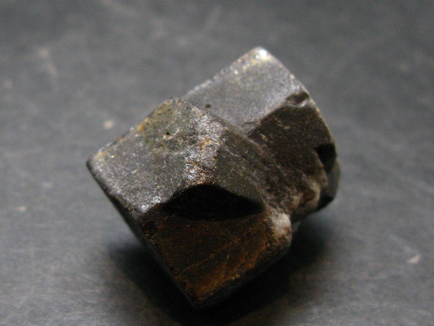 Staurolite Crystal from USA - 20.51 Grams - 0.9"