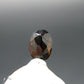 Rare Gem Painite Cut Stone From Mogok - 0.36 Carats