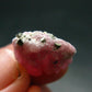 Rhodochrosite Gem Crystal From Colorado - 1.72 Grams - 0.6"