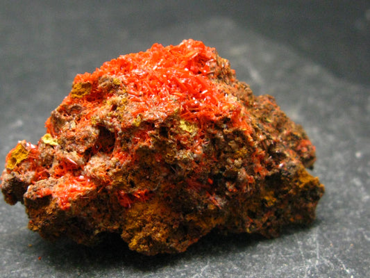 Rare Orange Crocoite Cluster From Australia - 1.6"- 13.49 Grams