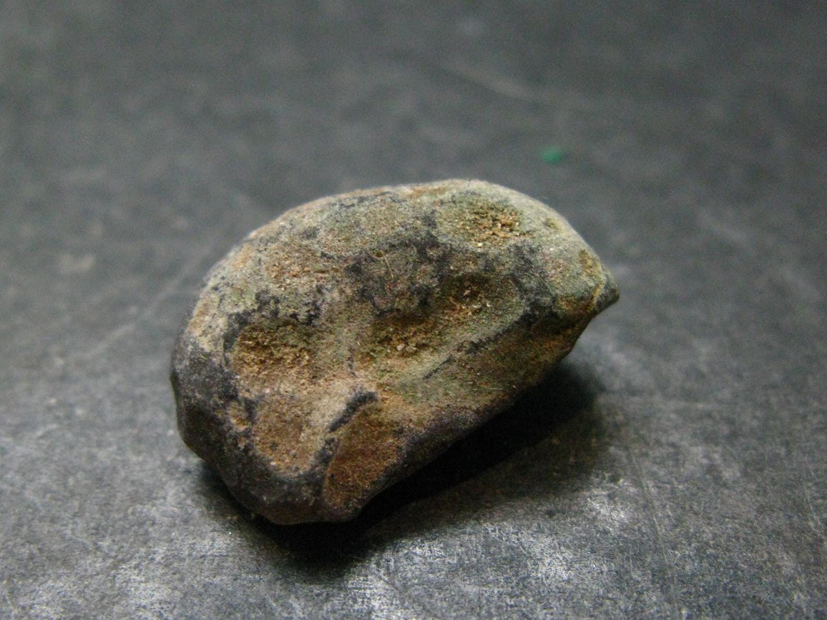 Rare Saffordite Cintamani Stone Pseudotektite Piece from Arizona USA - 12.45 Carats - 0.7"