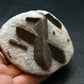 A Perfect Staurolite Crystal from Russia - 2.8" - 126.69 Grams