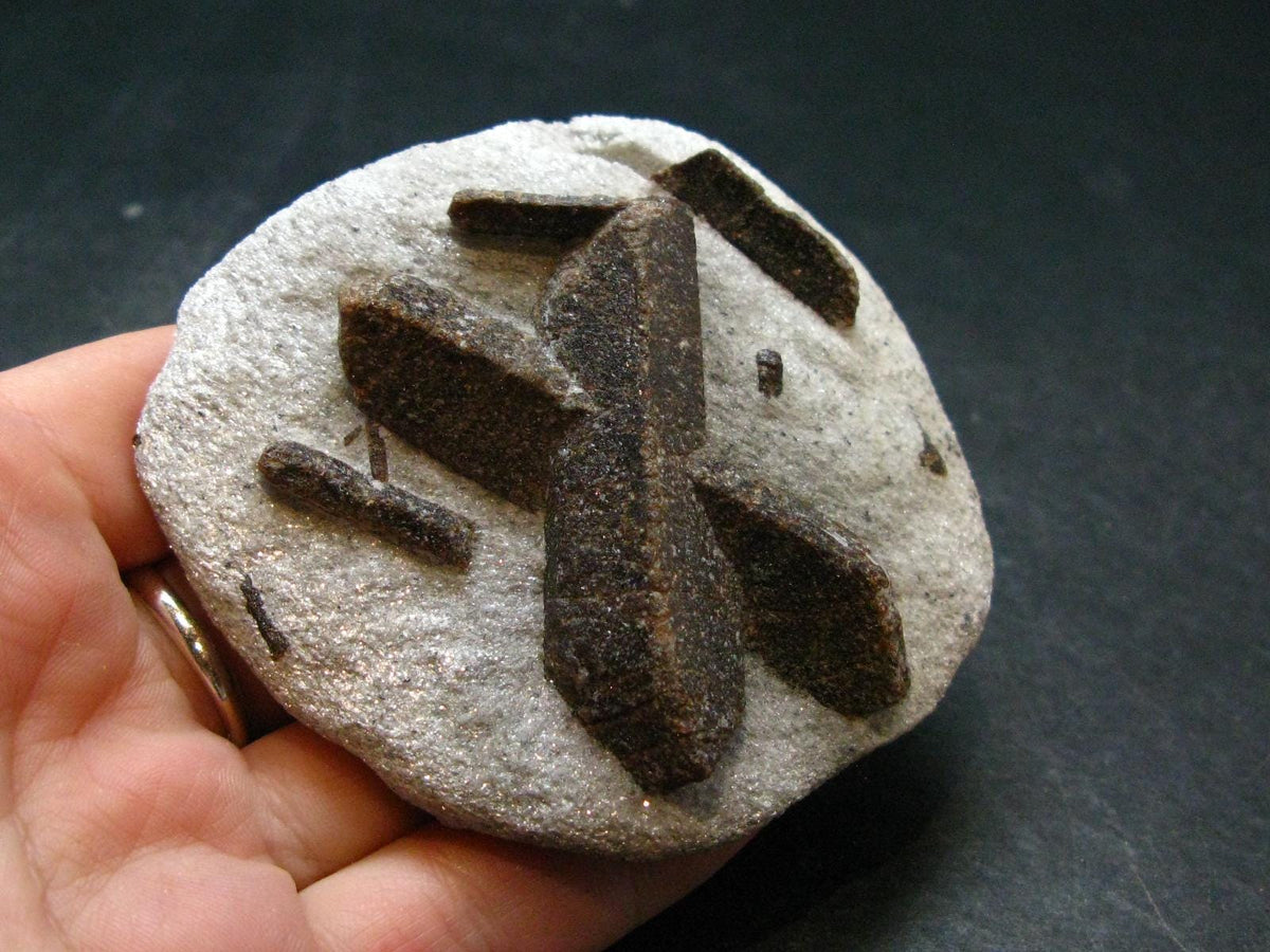 A Perfect Staurolite Crystal from Russia - 2.8" - 126.69 Grams