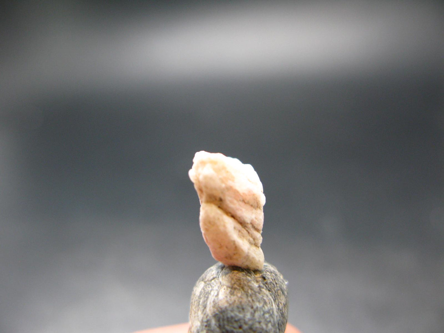 Rare Pink Tugtupite Raw Piece From Greenland - 0.80 Grams - 0.5"
