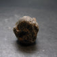 Meteor Splash Glass!! Fabulous Asymmetrical Rare Darwin Glass Tektite Pleistocene Piece From Australia - 0.9"