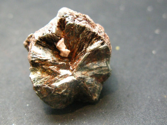 Rare Raw Polished Seraphinite Clinochlore Angels Wings Piece From Russia - 0.9"