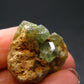 Rare Demantoid Garnet Cluster from Madagascar - 0.8" - 8.0 Grams