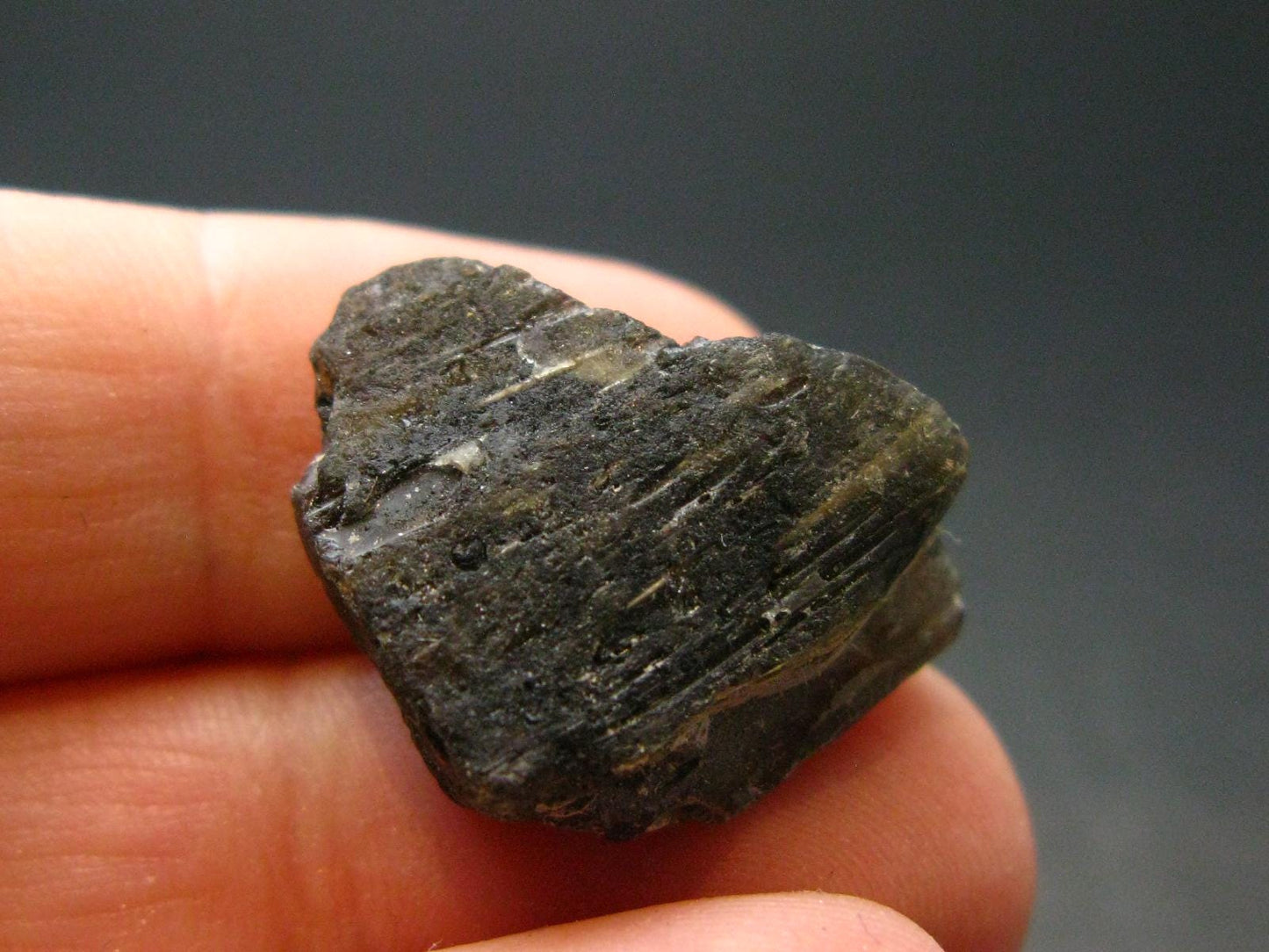 Meteor Splash Glass!! Fabulous Asymmetrical Rare Darwin Glass Tektite Pleistocene Piece From Australia - 0.7"
