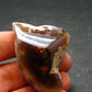 Fire Agate Crystal From Mexico - 1.6" - 25.50 Grams