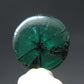 Beautiful Rare Gem Trapiche Emerald From Colombia - 3.12 Carats - 9.5x9.5mm