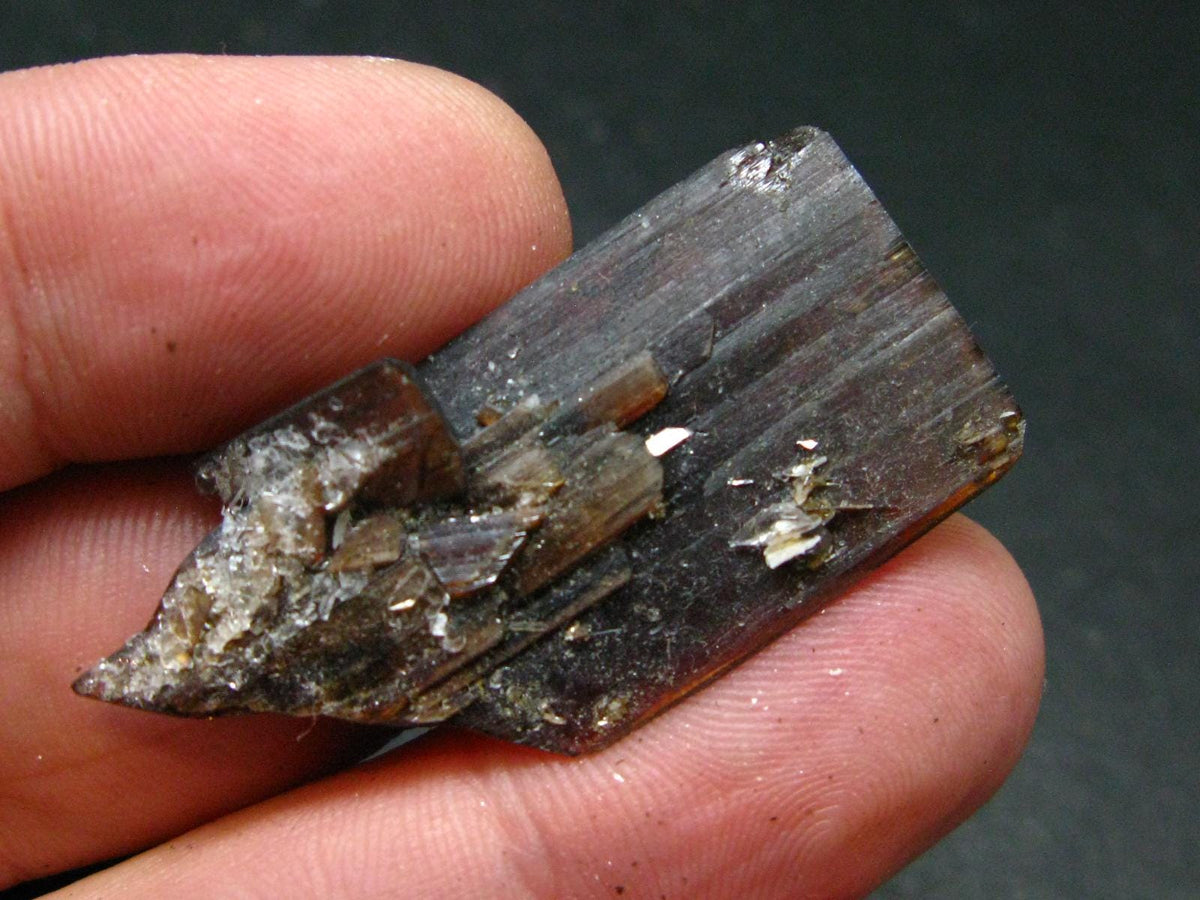 Huge Brookite Crystal From Pakistan - 4.25 Grams - 43 mm