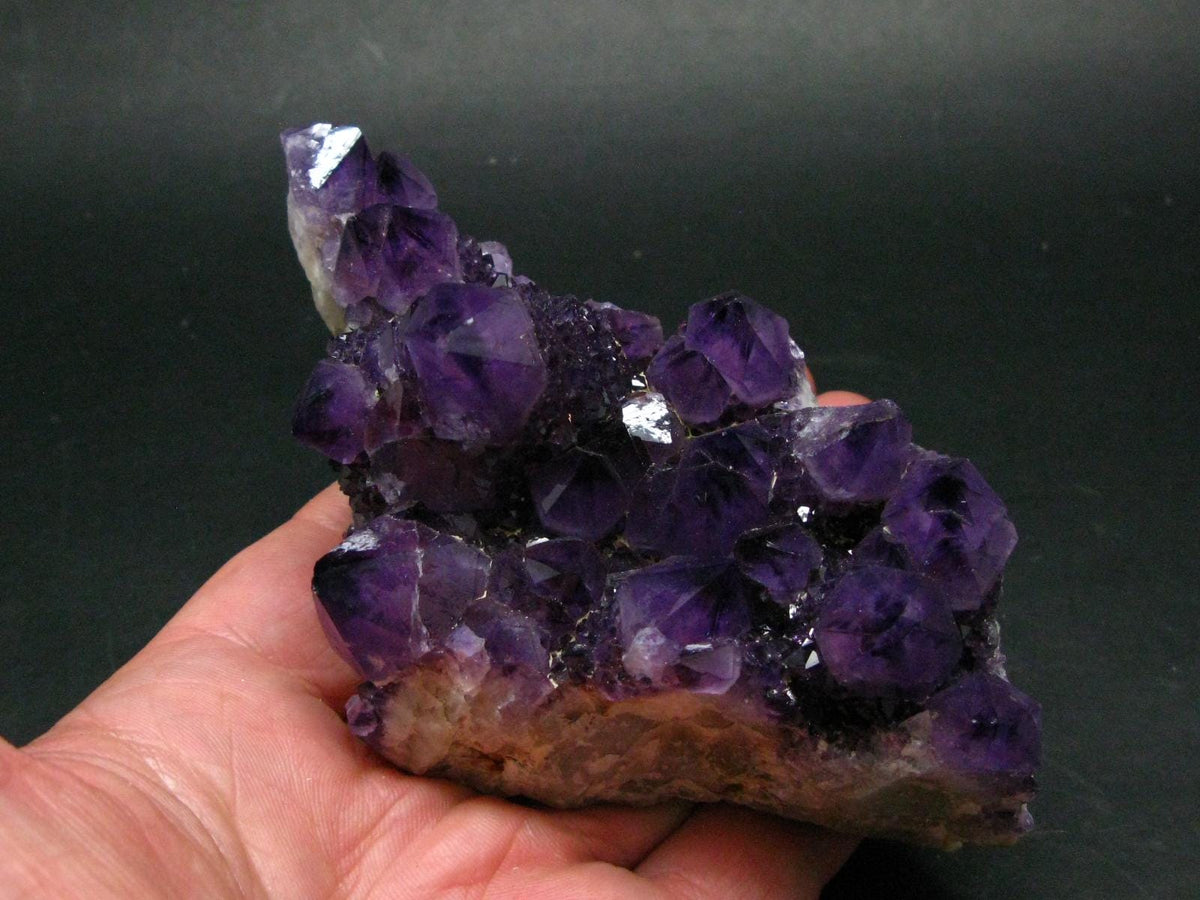 Stunning Cactus Amethyst Spirit Quartz Cluster From South Africa - 5.2" - 322 Grams