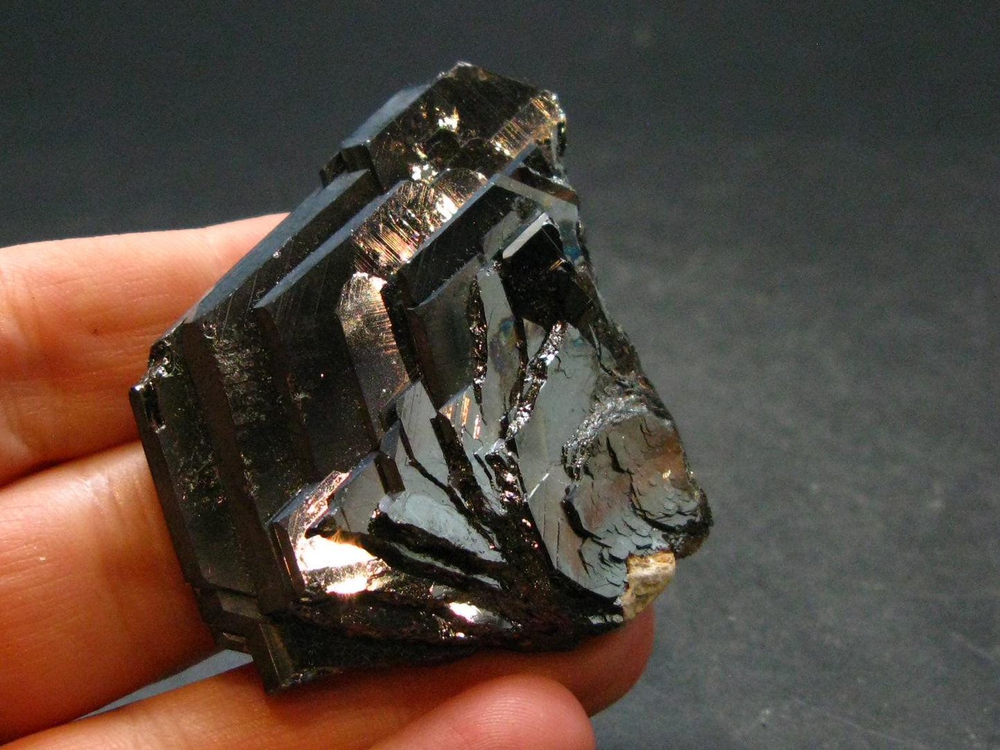 Large Hematite "Iron Rose" from Brazil - 2.0" - 50.39 Grams