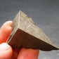 Large Gibeon Meteorite From Namibia - 1.2" - 22.4 Grams