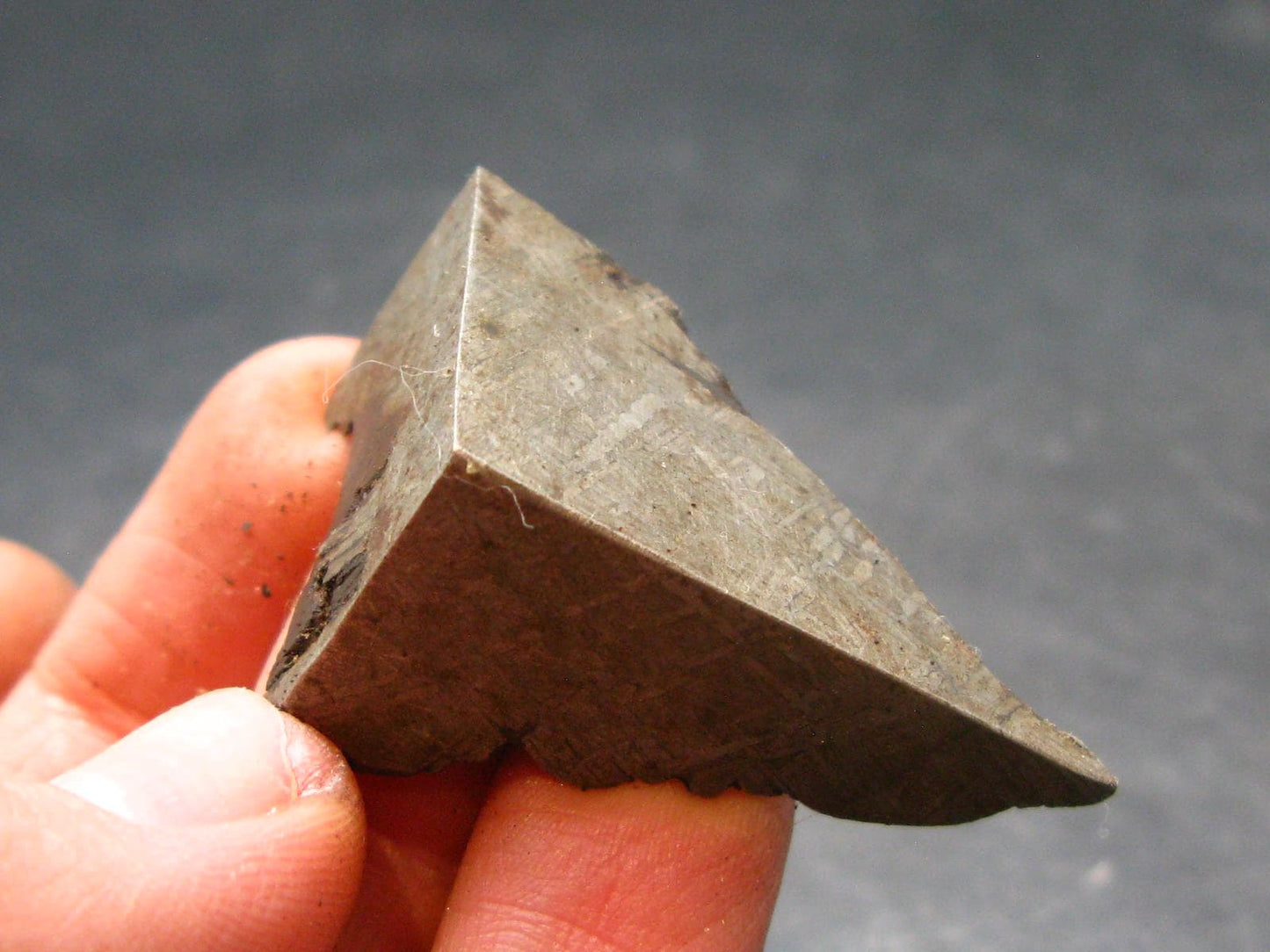 Large Gibeon Meteorite From Namibia - 1.2" - 22.4 Grams