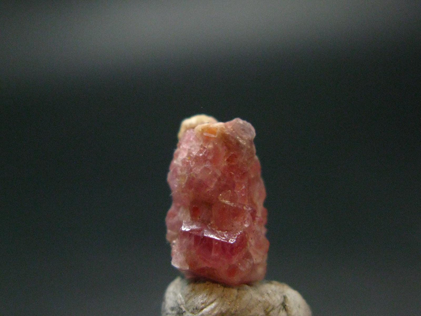 Rare Pezzottaite Crystal from Madagascar - 6.45 Carats - 0.5"