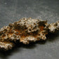 Large Fulgurite Lightning Rock From Sahara Desert - 2.7" - 8.61 Grams