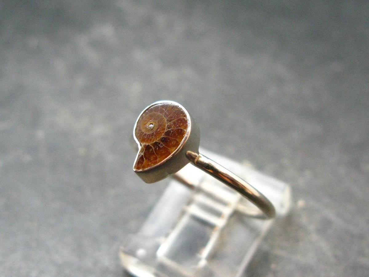 Natural Whole Polished Agatized Ammonite Cleoniceras Sterling Silver Ring from Madagascar - 1.77 Grams - Size 8