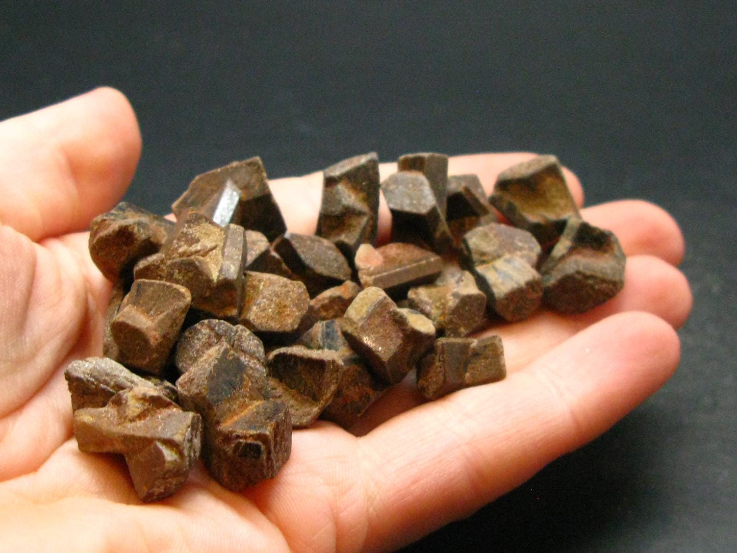 Lot of 25 Perfect Staurolite Crystals from USA - 53.45 Grams