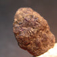 Large Alexandrite Chrysoberyl Crystal From Zimbabwe - 0.8" - 3.47 Grams