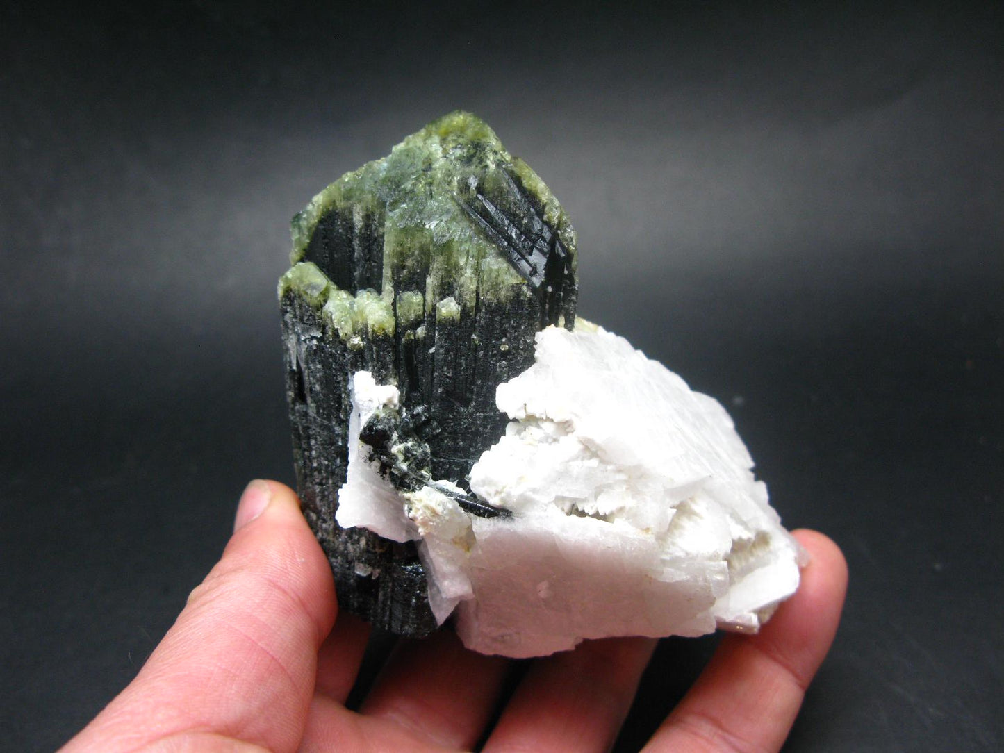 Green Tourmaline (Vanadium Dravite) Crystal on Albite From Tanzania - 3.5" - 416 Grams