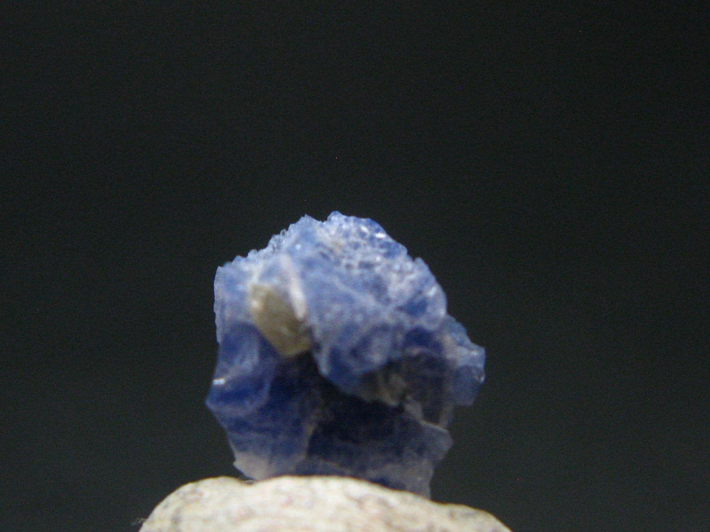 Fine Rare Carletonite Crystal From Mt. St. Hilaire Canada - 0.4" - 0.41 Grams