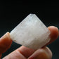 Nice Gem Danburite Crystal From Mexico - 1.5" - 26.04 Grams