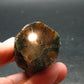 Andalusite Chiastolite Crystal From China - 2.8" - 96.0 Grams