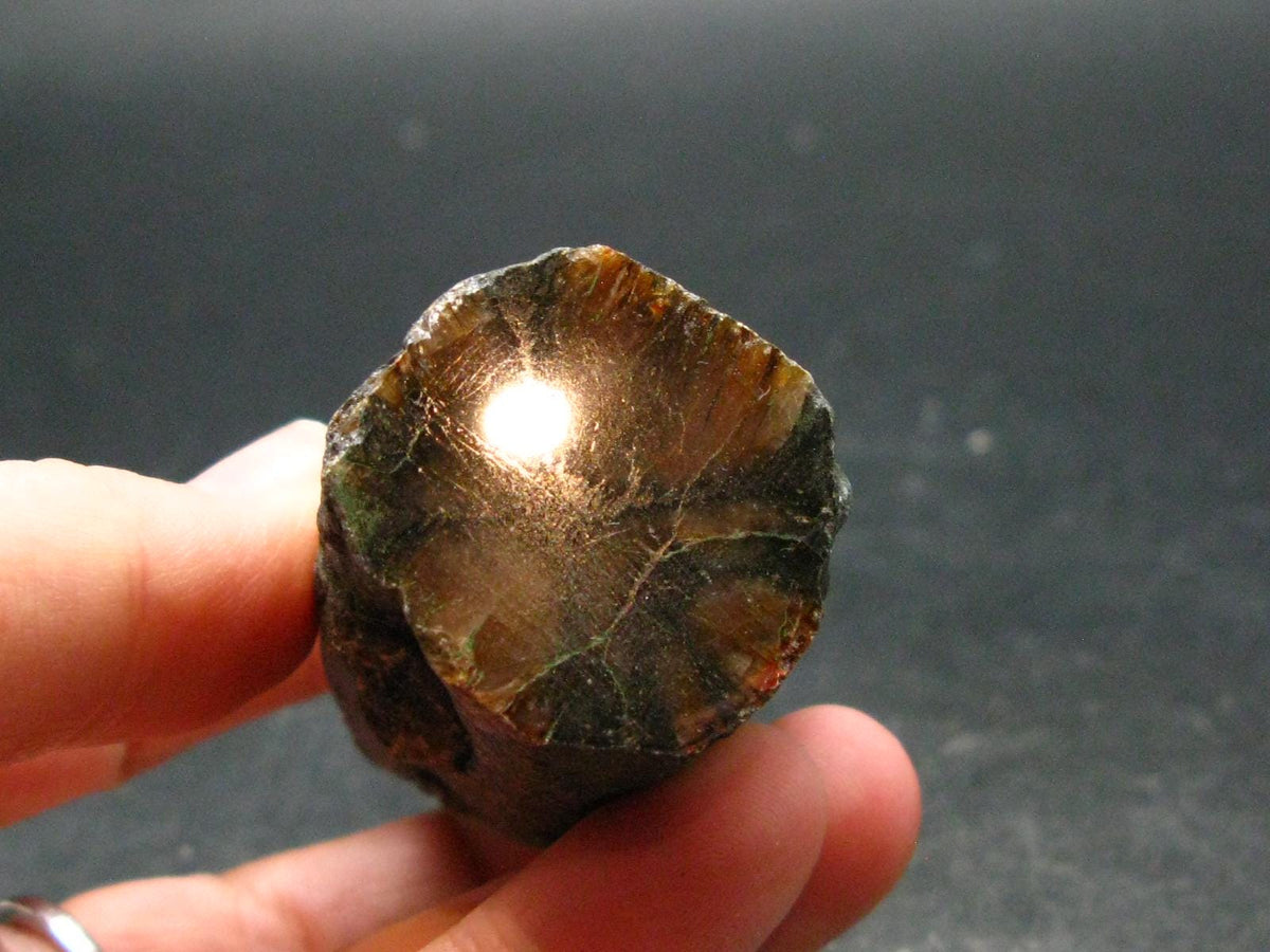 Andalusite Chiastolite Crystal From China - 2.8" - 96.0 Grams