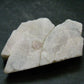 Phenakite Phenacite Polished Slice From Brazil - 37.0 Grams - 2.4"