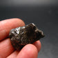 Sikhote Alin Meteorite From Russia - 19.1 Grams - 1.1"