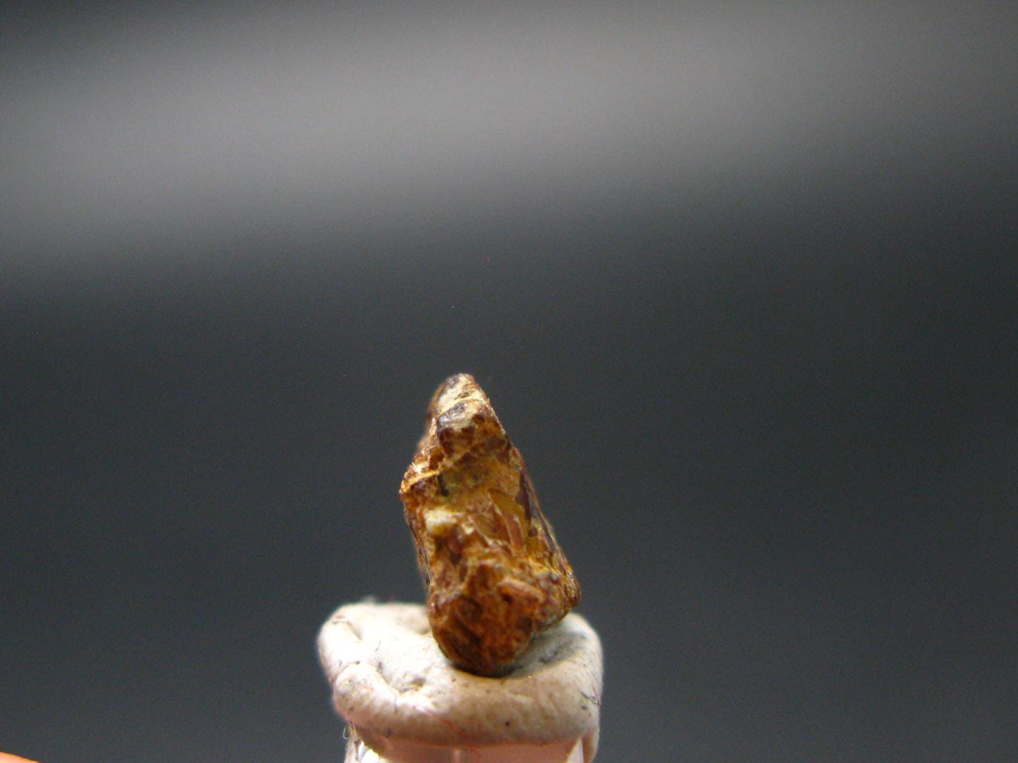 Rare Painite Crystal From Myanmar - 2.75 Carats