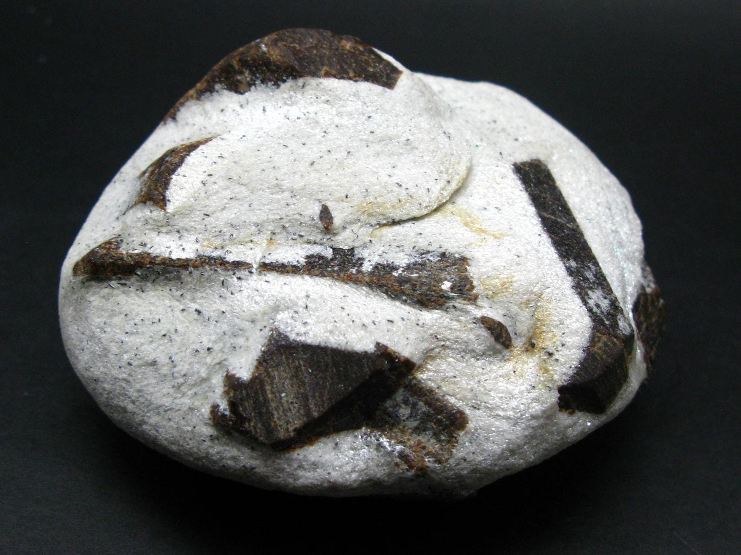 A Perfect Staurolite Crystal on Matrix from Russia - 3.6" - 431 Grams