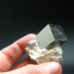 Perfect Pyrite Cube Cluster from Spain - 1.6"