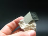 Perfect Pyrite Cube Cluster from Spain - 1.6"