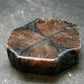 Andalusite Chiastolite Crystal From China - 1.4" - 20.82 Grams