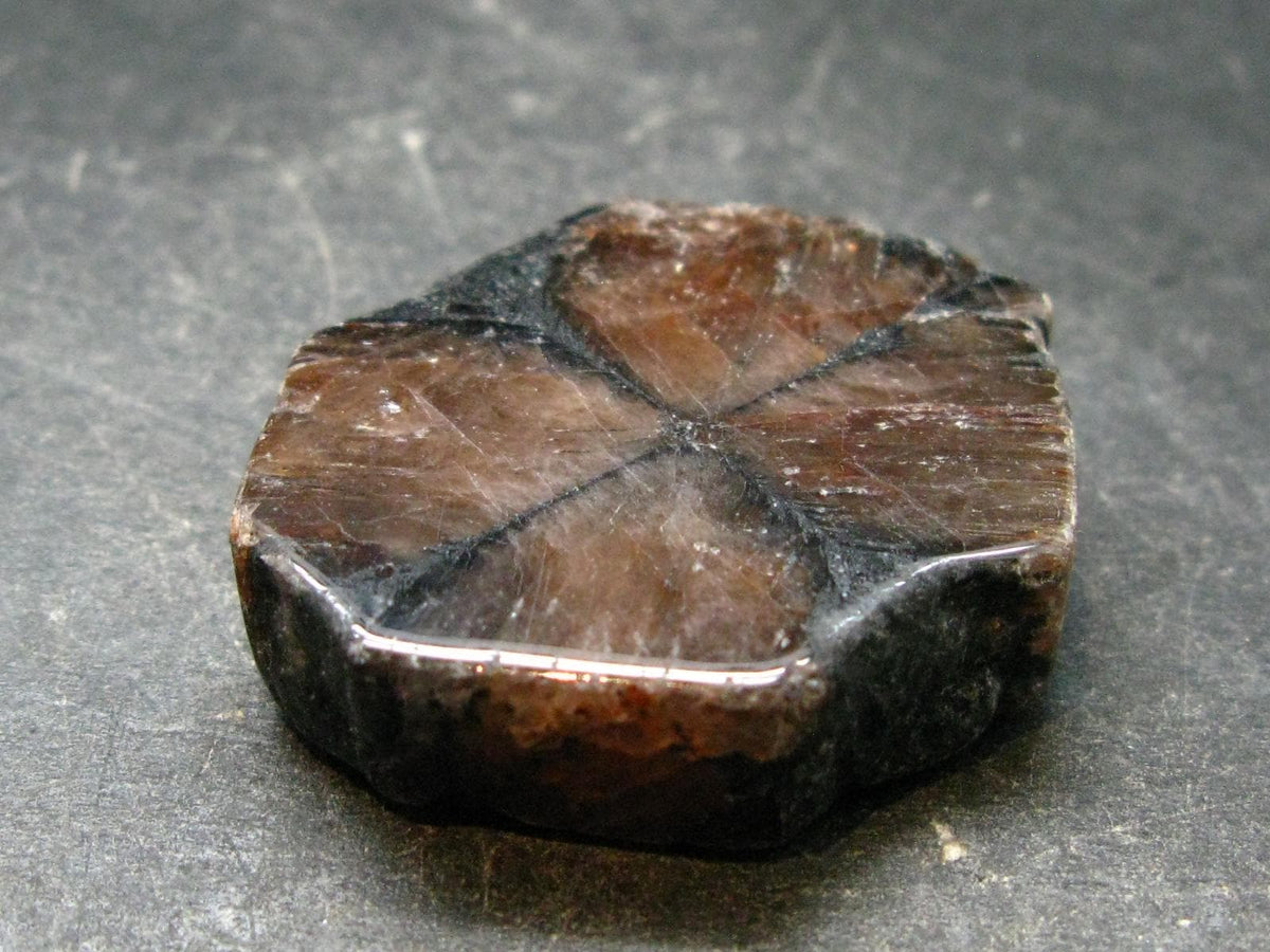 Andalusite Chiastolite Crystal From China - 1.4" - 20.82 Grams