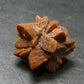 Glendonite (Ikaite after Calcite) Crystal From Russia - 1.0" - 7.81 Grams