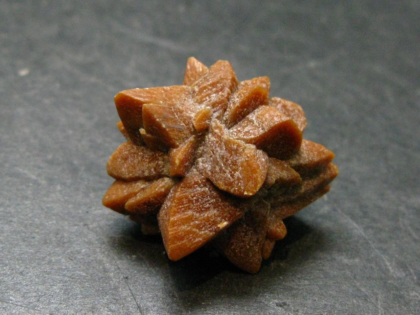 Glendonite (Ikaite after Calcite) Crystal From Russia - 1.0" - 7.81 Grams
