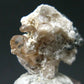 Rare Topaz & Bixbyite Crystal from Utah, USA - 5.11 Grams - 0.9"