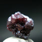 Rare Gem Proustite Cluster From Morocco - 0.6" - 1.89 Grams