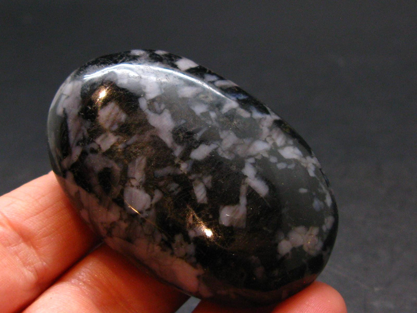 Gabbro Mystic Merlinite Tumbled Piece From Indian Ocean - 2.0"
