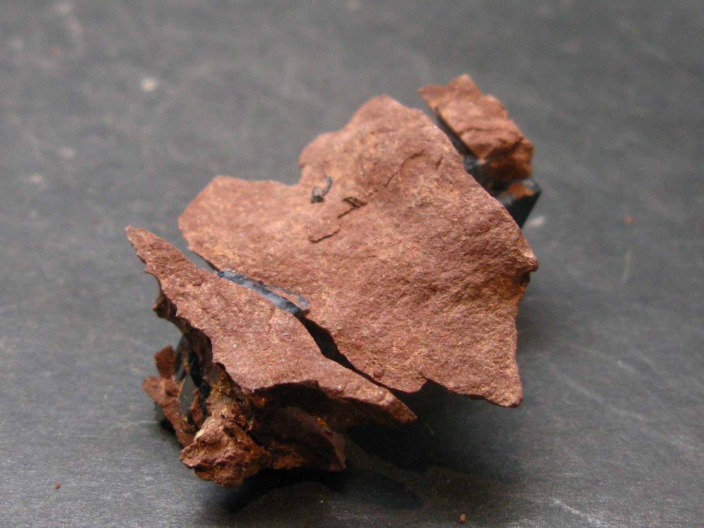 Vivianite Crystal From Bolivia - 1.6" - 12.6 Grams